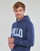 Vêtements Homme Sweats Polo Ralph Lauren SWEATSHIRT EN MOLLETON Bleu / Light Navy