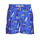 Vêtements Homme Maillots / Shorts de bain Polo Ralph Lauren MAILLOT DE BAIN VOILIERS EN POLYESTER RECYCLE Bleu / Multicolore