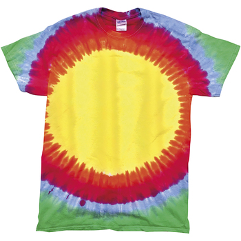 Vêtements Enfant T-shirts manches longues Colortone Sunrise Multicolore