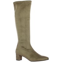 Chaussures Femme Bottes Pao Bottes stretch velours Taupe