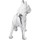 Maison & Déco Statuettes et figurines Signes Grimalt Figure Frange Bulldog Blanc