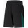 Vêtements Homme Shorts / Bermudas Puma Short  Mercedes F1 Noir