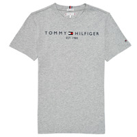 Vêtements Enfant T-shirts manches courtes Tommy Hilfiger AIXADA Gris