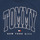 Vêtements Garçon T-shirts manches courtes Tommy Hilfiger AMIANSE Marine