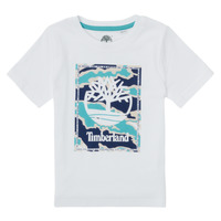 Vêtements Garçon T-shirts manches courtes Timberland LYONO Blanc