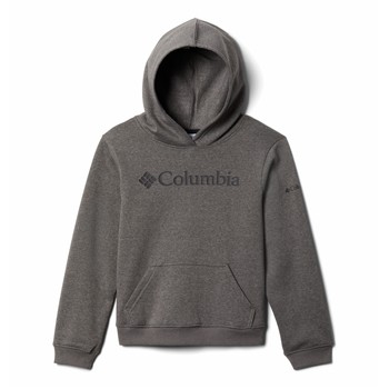 Vêtements Garçon Sweats Columbia COLUMBIA TREK HOODIE Gris