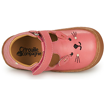 Citrouille et Compagnie TIPELLE Pink