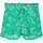 Vêtements Fille Shorts / Bermudas Name it 13177883 Vert