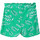 Vêtements Fille Shorts / Bermudas Name it 13177883 Vert