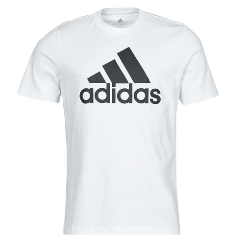 Vêtements Homme T-shirts manches courtes Adidas Sportswear BL SJ T-SHIRT white/black
