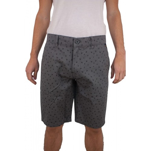 Vêtements Homme Shorts / Bermudas Torrente Fiji Gris