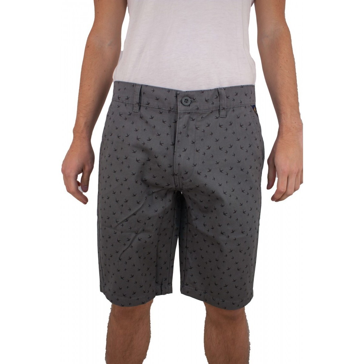 Vêtements Homme Shorts Lace / Bermudas Torrente Fiji Gris