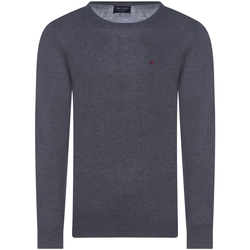 Vêtements Homme Pulls Teddy Smith Pull col rond Gris