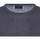Vêtements Homme Pulls Teddy Smith Pull col rond Gris