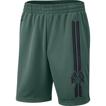 Vêtements Homme Pantacourts Nike SB Dry Short Gfx Vert