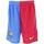 Vêtements Garçon Shorts / Bermudas Nike Barca short jr 2021.22 home Bordeaux