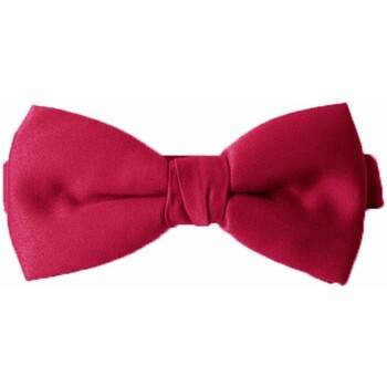 Vêtements Homme Cravates et accessoires Kebello Cravate à Rayures Rose H Bordeaux