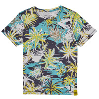 Vêtements Garçon T-shirts manches courtes Teddy Smith T-AUSTIN Multicolore