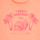 Vêtements Fille fresh cut flowers hoodies long sleeve t shirts tote bag collection portland brand release date ECLATOS Orange