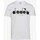 Vêtements Homme Débardeurs / T-shirts sans manche Diadora Tee-shirt homme  blanc big logo 502161924 - XS Blanc