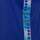 Vêtements Homme Débardeurs / T-shirts sans manche Diadora Tee shirt homme  bleu à bande   502175279 Bleu