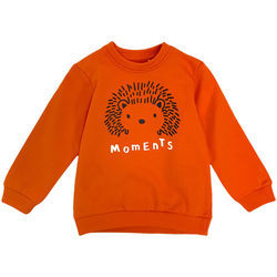 Vêtements Enfant Sweats Losan 127-6650AL Orange