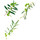 Bougies / diffuseurs Stickers Sud Trading Stickers Muraux - Branches d'oliviers Vert