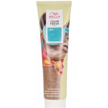 Beauté Soins & Après-shampooing Wella Color Fresh Mask Fun mint 