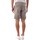 Vêtements Homme Shorts / Bermudas Bomboogie BMSET T GBT-350 DESERT SAGE Vert