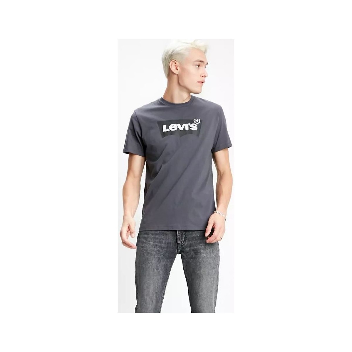 Vêtements Homme T-shirts & Polos Levi's 22489 0248 HOUSEMARK TEE-FORGE IRON Gris