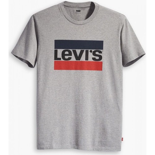 Vêtements Homme T-shirts & Polos Levi's 39636 LOGOGRAPHIC-0002 GREY Gris