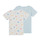 Vêtements Fille T-shirts manches courtes Petit Bateau MAILYS Multicolore