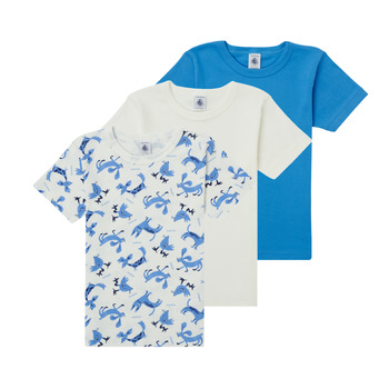 Vêtements Garçon T-shirts manches courtes Petit Bateau ADRIAN Multicolore