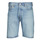 Vêtements Homme Shorts / Bermudas Levi's 501® HEMMED SHORT MOUNTAIN LIFE SHORT