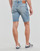 Vêtements Homme Shorts / Bermudas Levi's 501® HEMMED SHORT MOUNTAIN LIFE SHORT