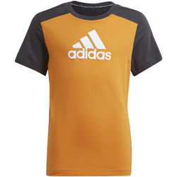 Vêtements Enfant T-shirts manches courtes sticks adidas Originals T-shirt Logo Orange
