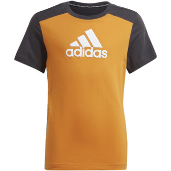 Vêtements Enfant T-shirts manches courtes adidas Originals T-shirt Logo Orange