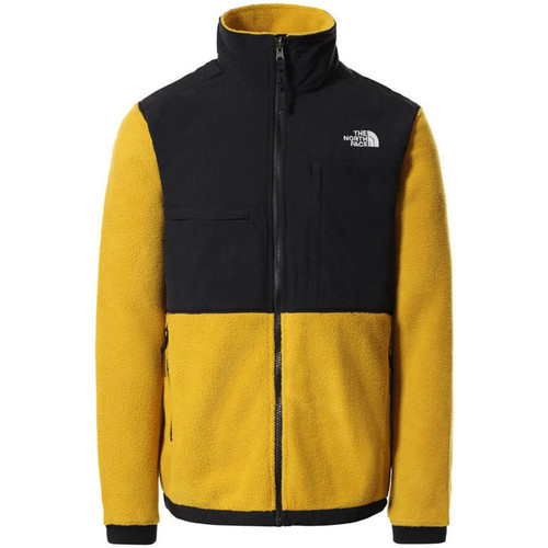 Vêtements Homme Dream in Green The North Face DENALI 2 Jaune