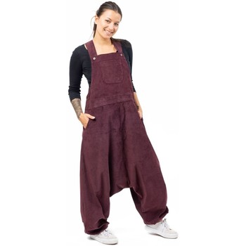 Vêtements Pantalon Aladin Printemps Ete Fantazia Salopette sarouel velours Patah Violet
