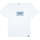 Vêtements T-shirts & Polos Vans T-Shirt  Take A Stand Box SS White Blanc