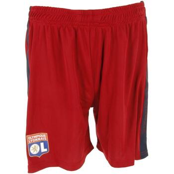 Vêtements Homme Shorts / Bermudas Ol Boutique Lyon short h training Rouge