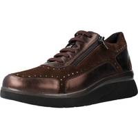 Chaussures Femme Baskets basses Stonefly CLERYN HDRY 11 LAMINATED Marron
