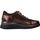 Chaussures Femme Baskets mode Stonefly CLERYN HDRY 11 LAMINATED Marron