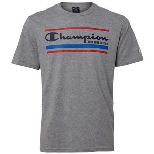 Vêtements Homme T-shirts manches courtes Champion Crewneck Gris