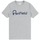 Vêtements Homme T-shirts manches courtes Penfield T-shirt Essentials Bear Chest Gris