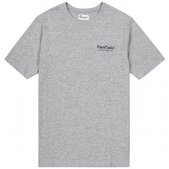 Vêtements Homme T-shirts manches courtes Penfield T-shirt  Hudson Script Gris