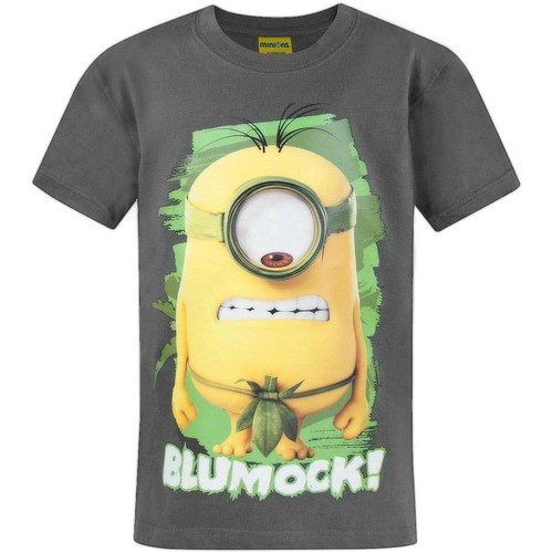 Vêtements Enfant T-shirts manches courtes Minions Blumock Gris