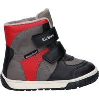 Chaussures Enfant Bottes Kickers 585574-10 SITROUILLE WPF Gris