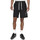 Vêtements Homme Shorts / Bermudas Nike Short  Spe Wvn Lnd Alumni / Noir Noir