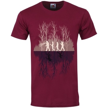 Vêtements Homme T-shirts manches longues Grindstore Mystical Roots Solstice Multicolore